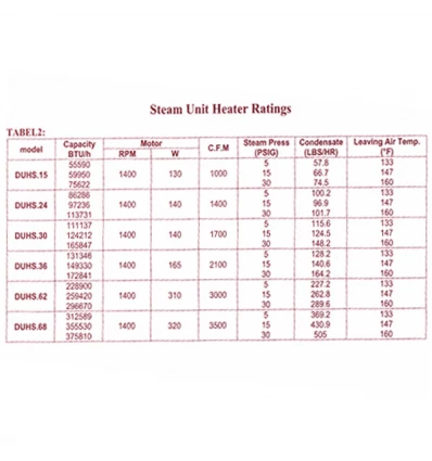 DatisKar Steam Unit Heater Equipped with Two-Speed Motor