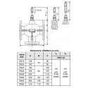 Honeywell Three-way Flange Motorized Valve 2"