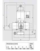 Dungs Gas Electrical Gradual gear Valve 3/4"