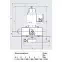 Dungs Gas Electrical Gradual gear Valve 3/4"