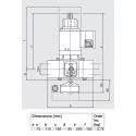 Dungs Gas Electrical Gradual gear Valve 1"