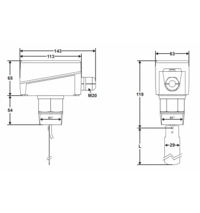 Honeywell Water flow switch S6065A1003