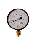 Thermometer TG Plate 10 CM Vertically TB110