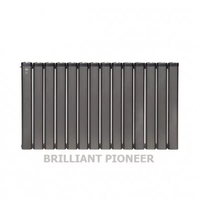 Anit Aluminum 14 blade Radiator Black Brilliant Pioneer Model