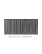 Anit Aluminum 17 blade Radiator Black Brilliant Pioneer Model