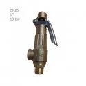 Lever brass star safety valve 10 Bar 1"