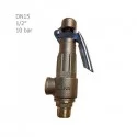 Lever brass star safety valve 10 Bar 1/2"