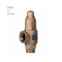 Hisec simple brass safety valve 10 bar "1