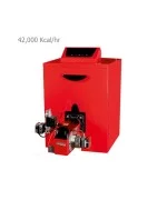 Cast Iron Boiler Super Plus 200 5-blade