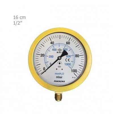 Pakkens Mili Bar Manometer Vertically Dry Plate 16 Cm