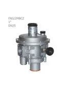 Madas gear gas pressure regulator 1" model FRG/2MBCZ