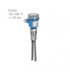 Endress Hauser diapason level switch FTM50