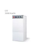 Iran Radiator Gas-fuel and Gasoil Ground Chiller Boiler G35