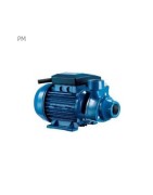 Pentax Home Water Pump