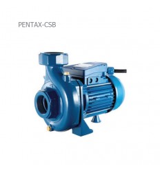 Pentax Centrifugal Water Pump Overhead Height Series CH & CS