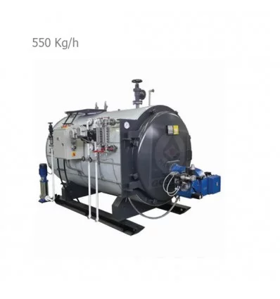 Hararat Gostar Steam Boiler Model HS1