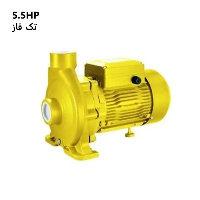 Aquastrong Centrifugal Jacuzzi Jet Pump ECM-230B