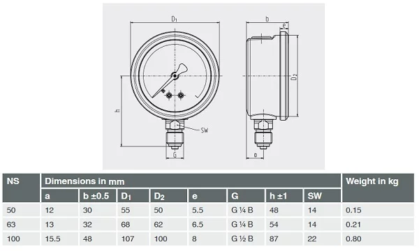 Wika Manometer Oily Vertical Plate 10 cm Model 213.53