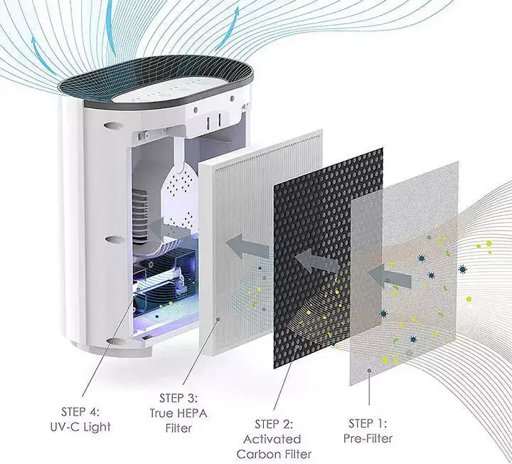 Reasons Why The Air Purifier Is Necessary