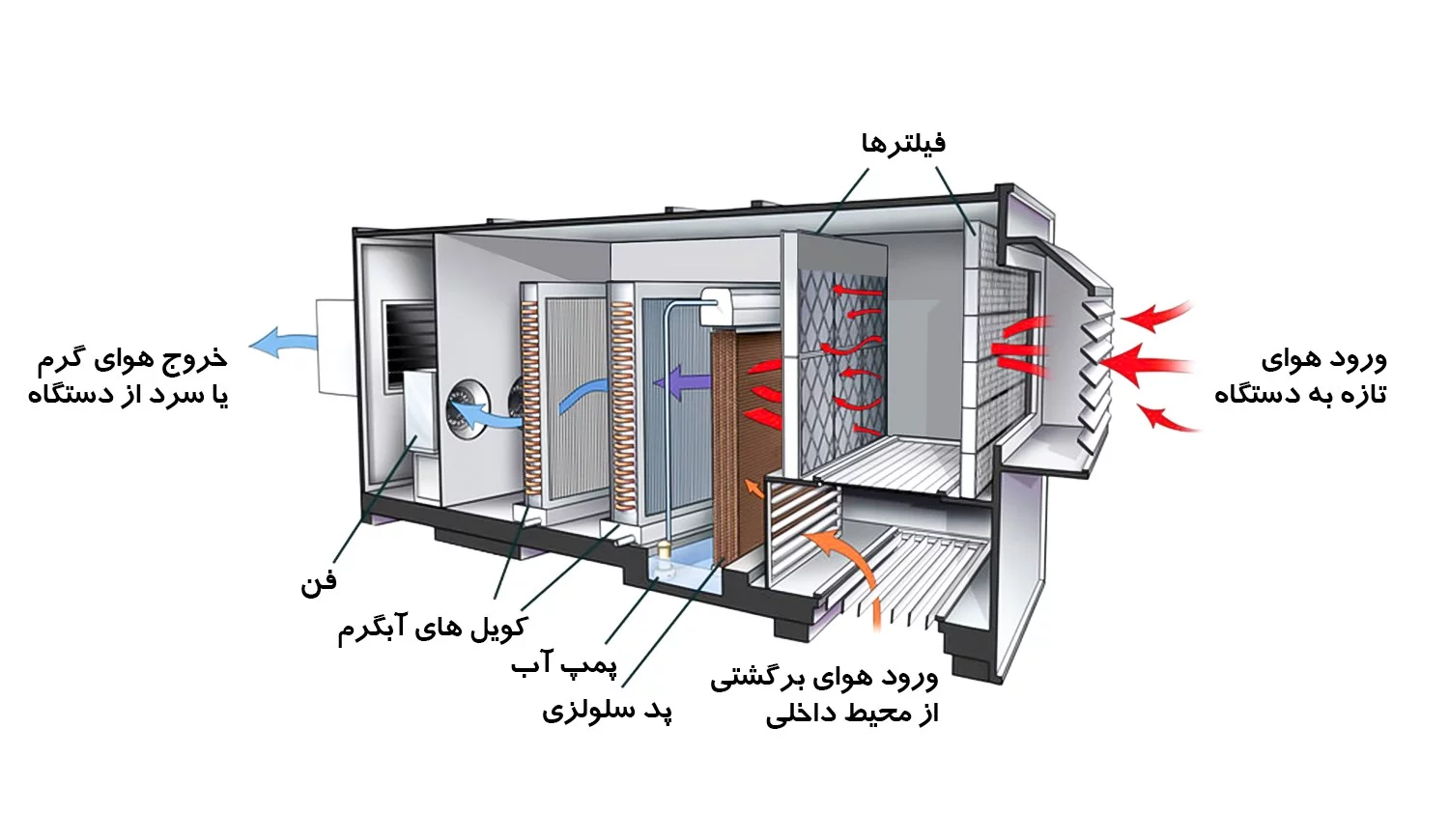 اجزای دستگاه زنت