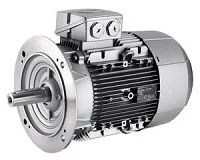 electric motor (MOTOR)