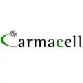 آرماسل armacell